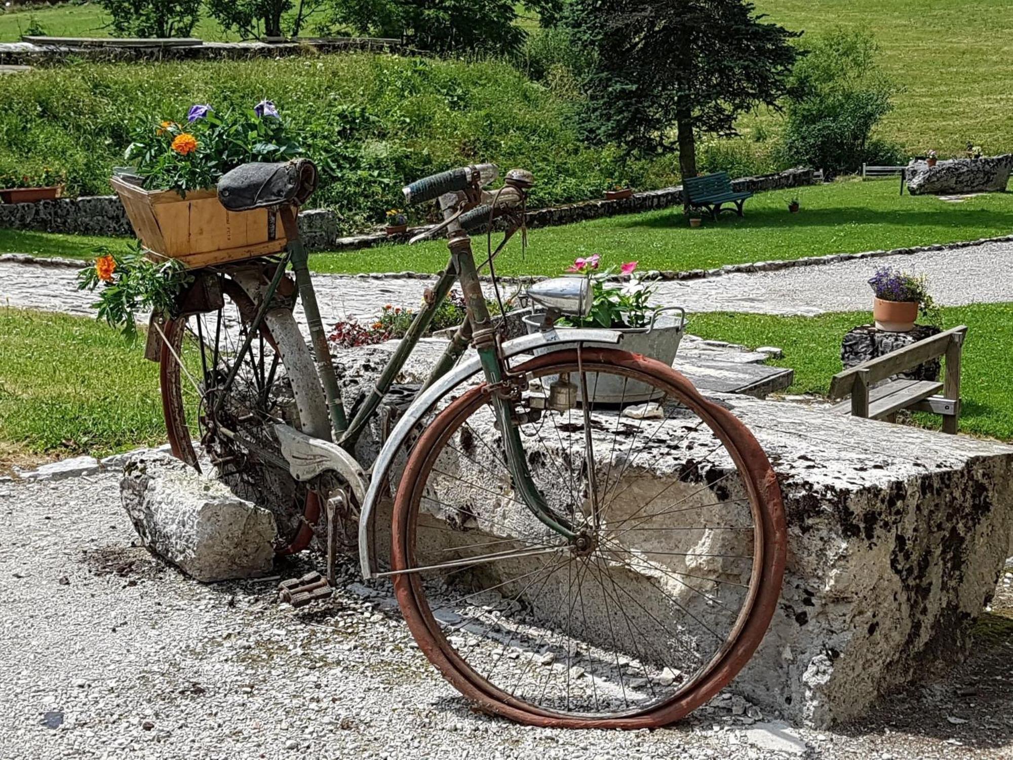 Dvacances Résidence les tavaillons Mijoux Esterno foto